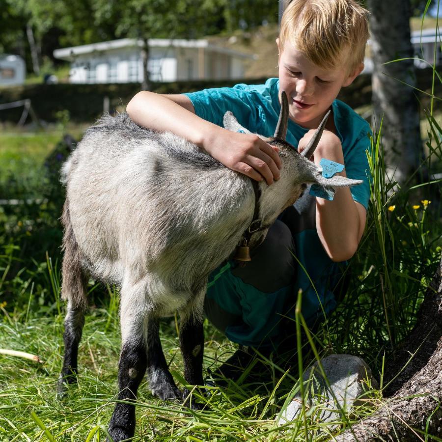 Groven Camping & Hyttegrend Amot  Kültér fotó
